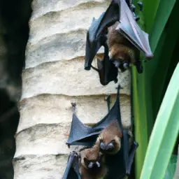 Do Bats Lay Eggs   Bats And Eggs The Mystery Of Do Bats Lay Eggs Eggslearn.com.webp