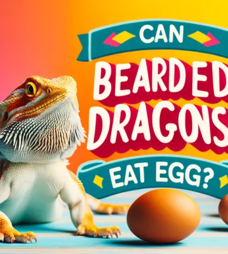 Can Bearded Dragons